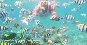 snorkeling di wisata 3 gili trawangan, gili meno dan gili air lombok