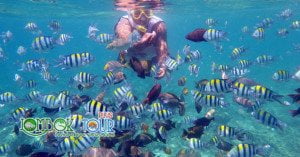 snorkeling di lombok