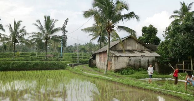Desa Tetebatu Lombok